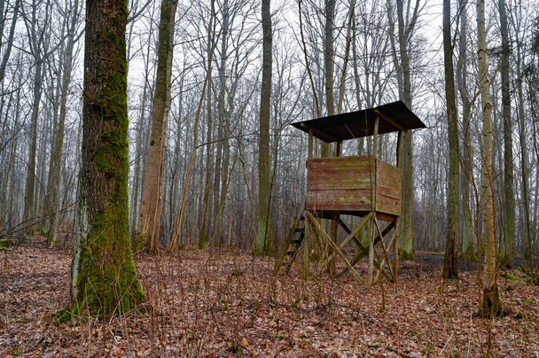 森の中の木の板で作られた狩猟塔 - 写真・画像