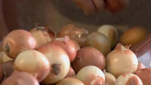 Pile of big golden onions at market counter. - Footage, Video