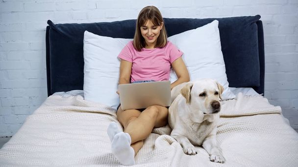 onnellinen freelancer käyttäen kannettavaa tietokonetta lähellä kultainen noutaja sängyssä - Valokuva, kuva