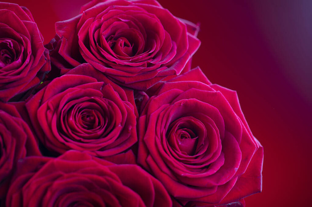 Букет з троянд на фоні боке. Жіночий день подарунок
.  - Фото, зображення
