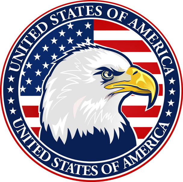 Amerikan bayraklı Amerikan kartalı - Vektör, Görsel