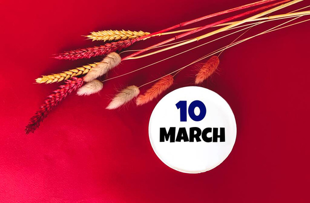 Março 10 em um objeto redondo branco. Ao lado dele são raminhos de trigo em um fundo vermelho. Calendário para março . - Foto, Imagem