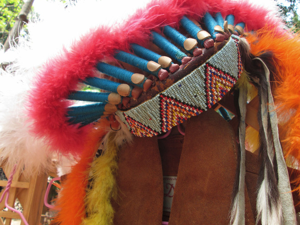 chef indien amérindien natal coiffe
 - Photo, image