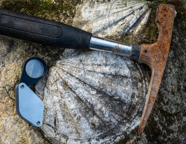 martelo geológico ou picareta de rocha, com concha fóssil em calcário e lente de mão . - Foto, Imagem