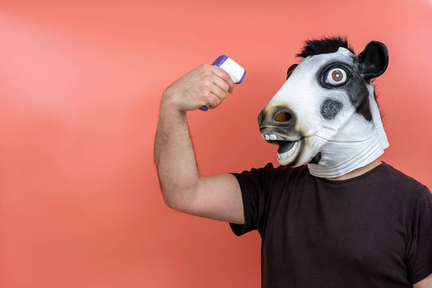 person dressed in a latex cow mask taking her temperature with an infrared thermometer with pink background - Photo, Image