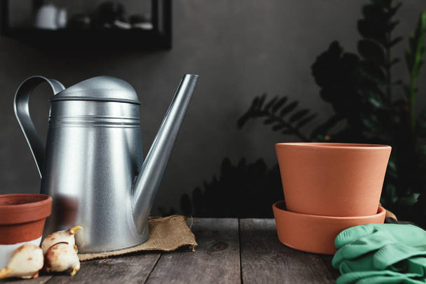 Ceramic pots on an old gray wooden table, tulip bulbs, watering can, green gloves and garden shovel. High quality photo - Photo, Image