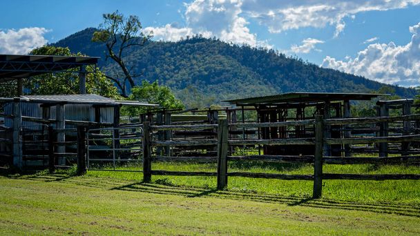 Jardas vazias de gado com esgrima de madeira em uma propriedade rural - Foto, Imagem
