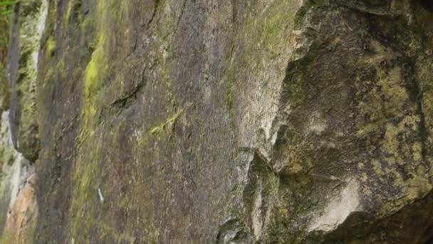 Дикие природные темные скалы с мхом и трещинами. Неровный край камня вблизи - Кадры, видео