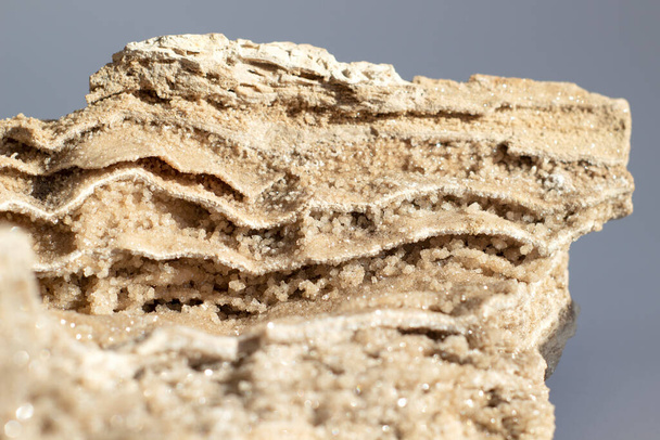 Древнее старое окаменелое дерево, раскопки, минералы, на сером фоне закрыть вид спереди - Фото, изображение