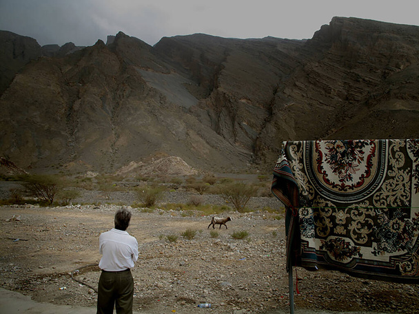  Мужчина наблюдает за тем, как коза идет под скалистыми горами в пустыне возле Низва Оман.                               - Фото, изображение