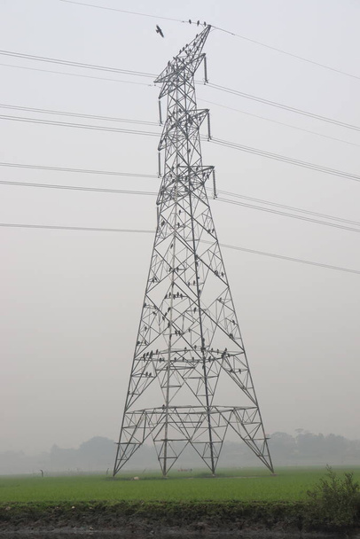 電流供給のためのグリーンフィールド上の高電圧電気柱の閉鎖 - 写真・画像