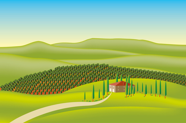szőlőskert illusztráció - Vektor, kép
