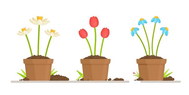 Vector illustration of congratulations to all girls and women. Gifts and flowers. Bouquet in a blue watering can. Flower seedlings in pots. - Vector, Image