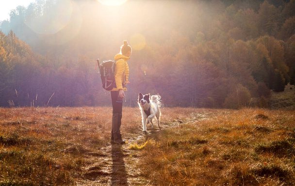 жінка і собака на відкритому повітрі в осінній схід сонця
  - Фото, зображення