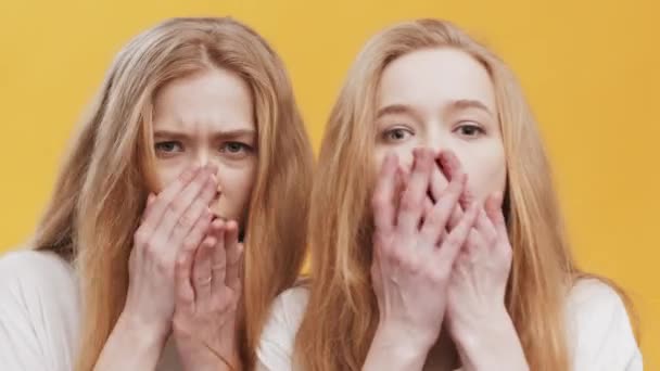 Шоковая реакция. Две рыжие сестры-близнецы чувствуют себя пораженными и ошеломленными, закрывая рот, оранжевый фон - Кадры, видео