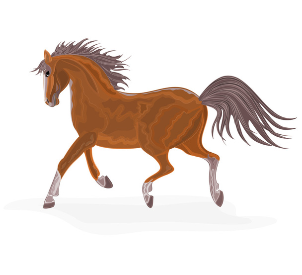 Brown horse - Vector, Image