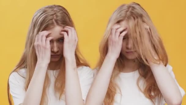 Gioventù e bellezza. Due giovani sorelle gemelle che si preparano i capelli contemporaneamente, mostrano i volti e guardano la macchina fotografica - Filmati, video