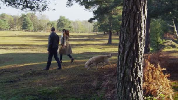 Couple walking their dog in forest - Filmati, video