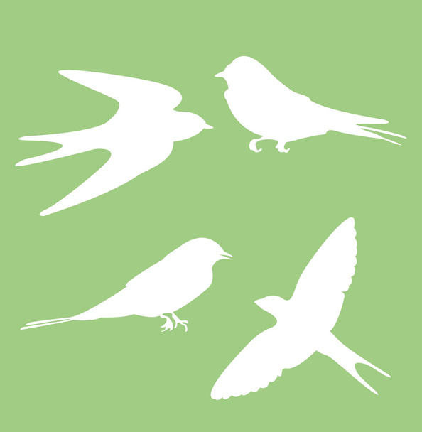 ptáci silueta - Vektor, obrázek