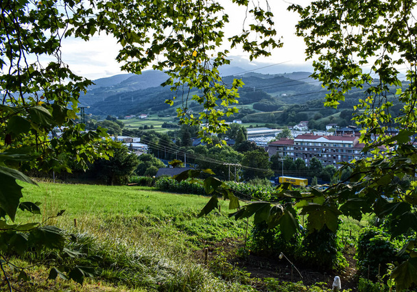 Baharda İspanya 'nın Bask ülkesinin yeşil manzaraları. - Fotoğraf, Görsel