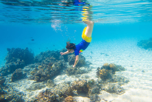 Child snorkeling. Kids swim underwater. Beach and sea summer vacation with children. Little girl watching coral reef fish. Marine life on exotic island. Kid swimming and diving with snorkel and mask. - 写真・画像