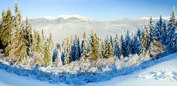 Paesaggio montano invernale (panorama
) - Foto, immagini