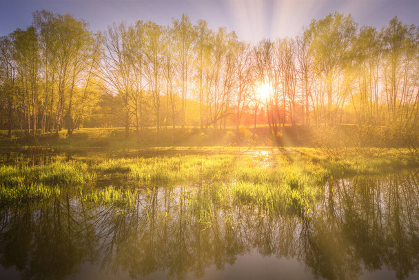 Sunrise near a pond with birches on the shore and fog over the water on a spring morning. Sun rays breaking through birch trees. - Photo, Image