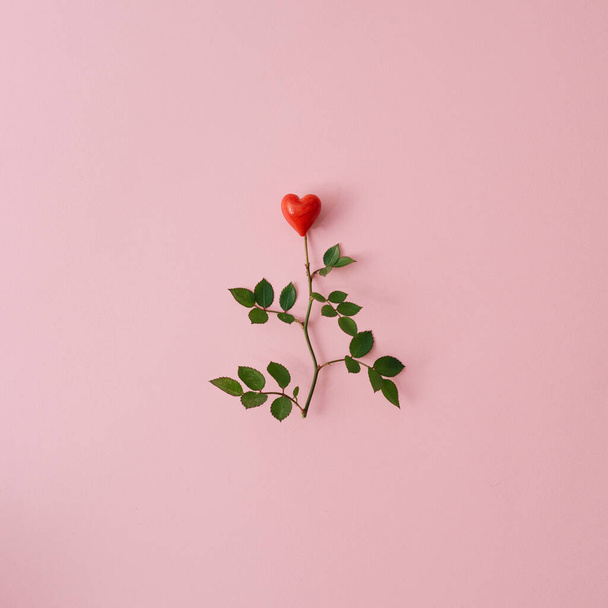 Red rose flower bloom with heart shape. Valentines or womans day flat lay concept. - Photo, Image