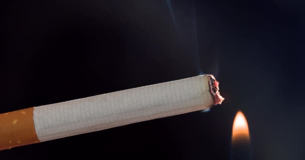 Cigarrillo con humo sobre fondo oscuro, primer plano - Metraje, vídeo