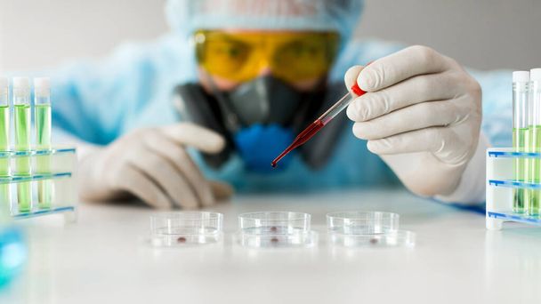 Egy kutató a laborban vért csöpög egy pipettából egy Petri-csészébe. A modern kutatás koncepciója a vakcinafejlesztés területén. Közelkép. - Fotó, kép