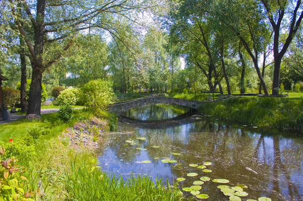 Parque con un río cerca del castillo de Radomysl en Ucrania - Foto, Imagen
