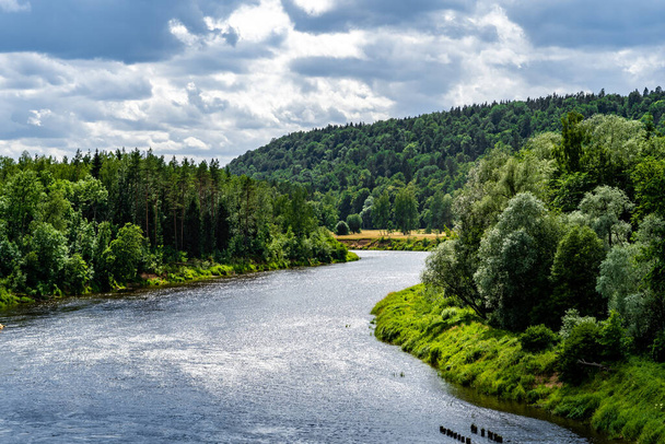 View to river Gauja surrounded by forest in summer season in July in Sigulda in Latvia - Photo, Image