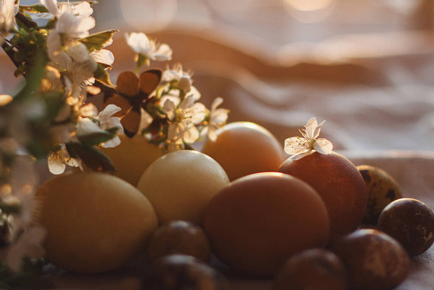 Современные пасхальные яйца и цветущая вишневая ветвь с бабочкой на деревенской ткани в солнечном теплом свете. Натуральные окрашенные яйца на столе с цветущими цветами. Счастливой Пасхи! Момент сельской тишины - Фото, изображение