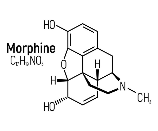 モルヒネの概念化学式アイコンラベル、テキストフォントベクトル図は、白に隔離された。定期的な要素テーブル、中毒性の薬物物. - ベクター画像