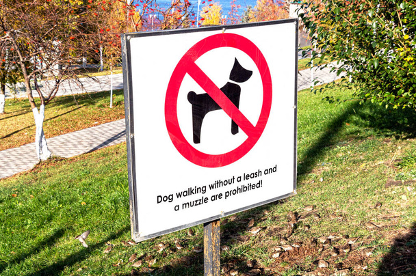 Señal de advertencia: Perro caminando sin correa y un hocico están prohibidos - Foto, Imagen