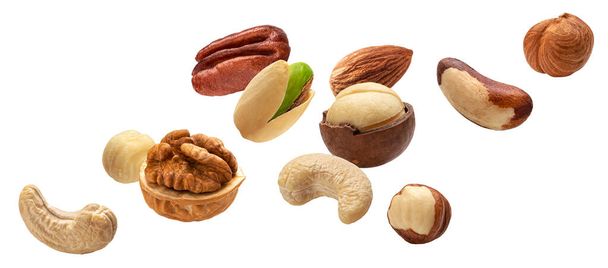 Eri pähkinät kokoelma eristetty valkoisella pohjalla - Valokuva, kuva