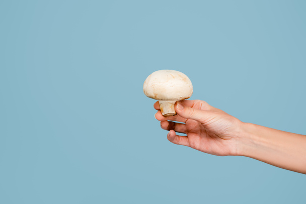 cropped view of woman holding raw mushroom isolated on blue - Fotó, kép