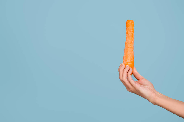 жіноча рука зі свіжою цільною морквою ізольована на синьому
 - Фото, зображення