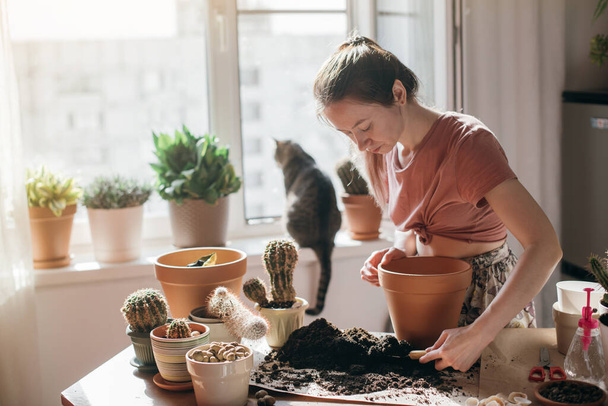Young woman transplant cacti at home. Beautiful girl at work with house plants in the apartment. Spring potted flower care. The cat lies on the windowsill - Photo, Image