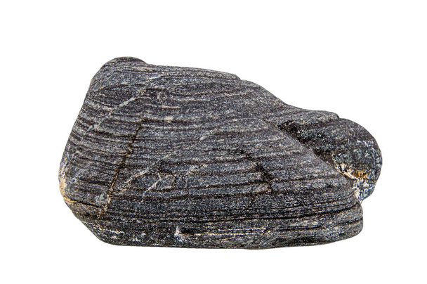 Ізольовані чорні камені з рідкісною рельєфною текстурою і шаруватою структурою, сфотографовані в розсіяному природному світлі без тіней
. - Фото, зображення
