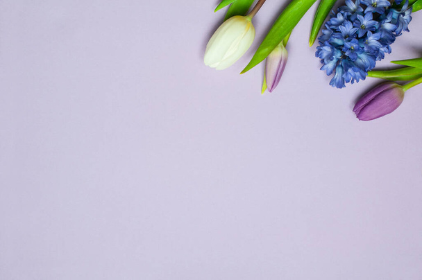 una posa piatta di tulipani viola e bianchi con un fiore di giacinto blu su uno sfondo lilla - Foto, immagini