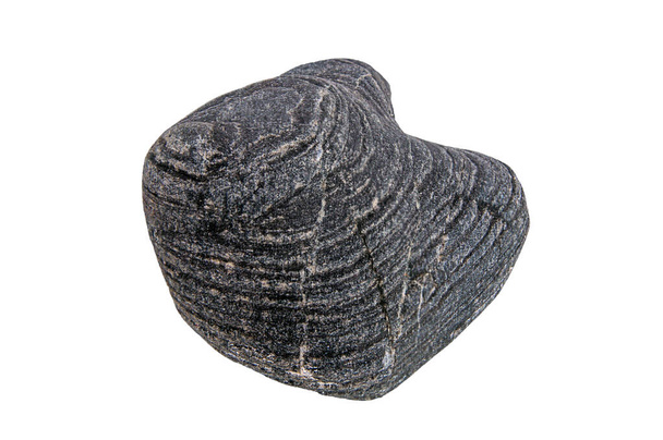 Pedras pretas isoladas com uma textura de relevo raro e estrutura em camadas, fotografadas em luz natural difusa sem sombras. - Foto, Imagem
