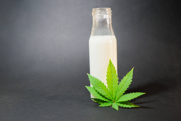 Du lait de chanvre dans la bouteille. Feuille de cannabis. Du CBD infusé. Boisson végétalienne saine à base de plantes.  - Photo, image