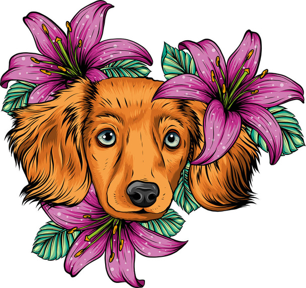 Retrato de um cão spaniel em uma coroa de flores. Ilustração vetorial. - Vetor, Imagem