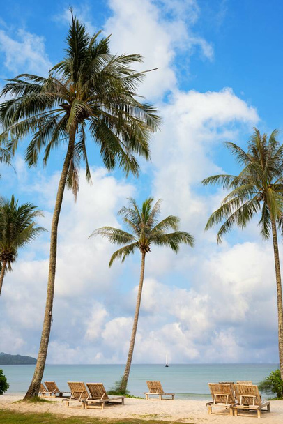 Cocos junto a la playa con hermosos cielos y nubes Con sillas de playa para sentarse y relajarse El mar es verde turquesa y el barco flota. Imagen del concepto de vacaciones de verano. - Foto, imagen