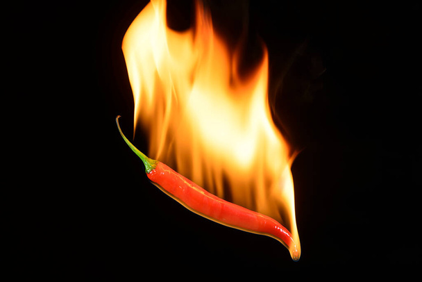 Peperoncino piccante rosso su fondo nero con fiamma - Foto, immagini