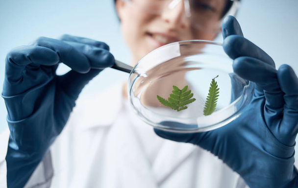 vrouw onderzoeken plant pincet transparante geneeskunde bril biologie plantkunde laboratorium - Foto, afbeelding