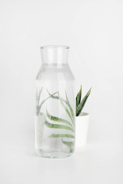 rostlina v květináči zkreslené vodou v láhvi na bílém pozadí. Domácí dekor, šetrné k životnímu prostředí, relaxovat, zahradničení koncept. kopírovat prostor - Fotografie, Obrázek
