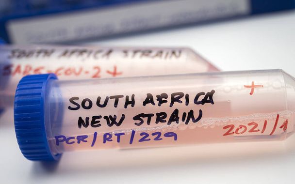 Plusieurs flacons positifs pour l'infection covid-19 de la nouvelle variante en Afrique du Sud, image conceptuelle. - Photo, image