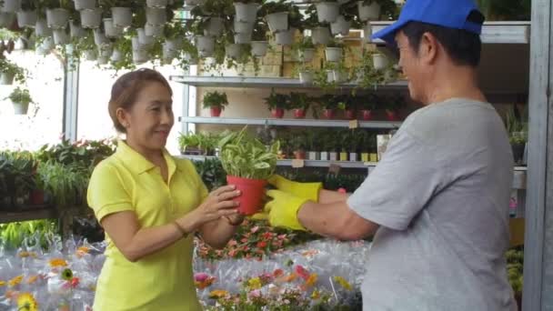 Tiro medio de la mujer asiática envejecida que compra la planta en la tienda de flores mientras que habla con el vendedor senior - Metraje, vídeo